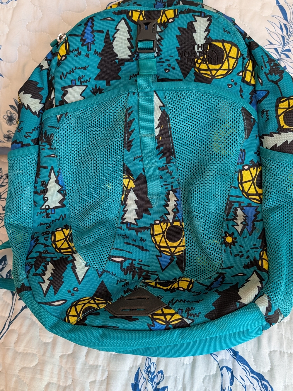 The North Face Kids One-Piece Backpack in Teal Forest Print